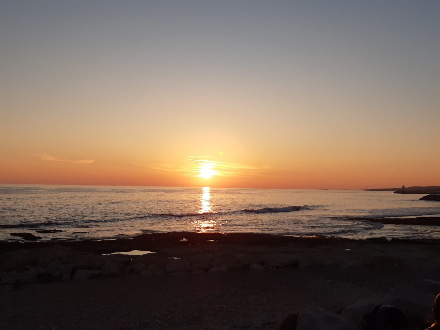 1676188981681.jpg 1676188981681.jpg