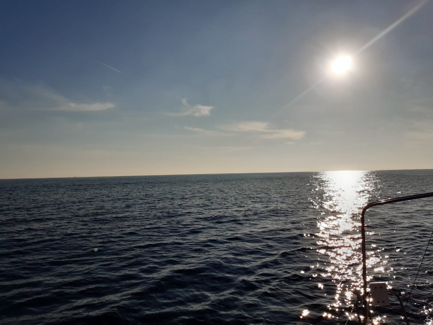 1676188981657.jpg 1676188981657.jpg