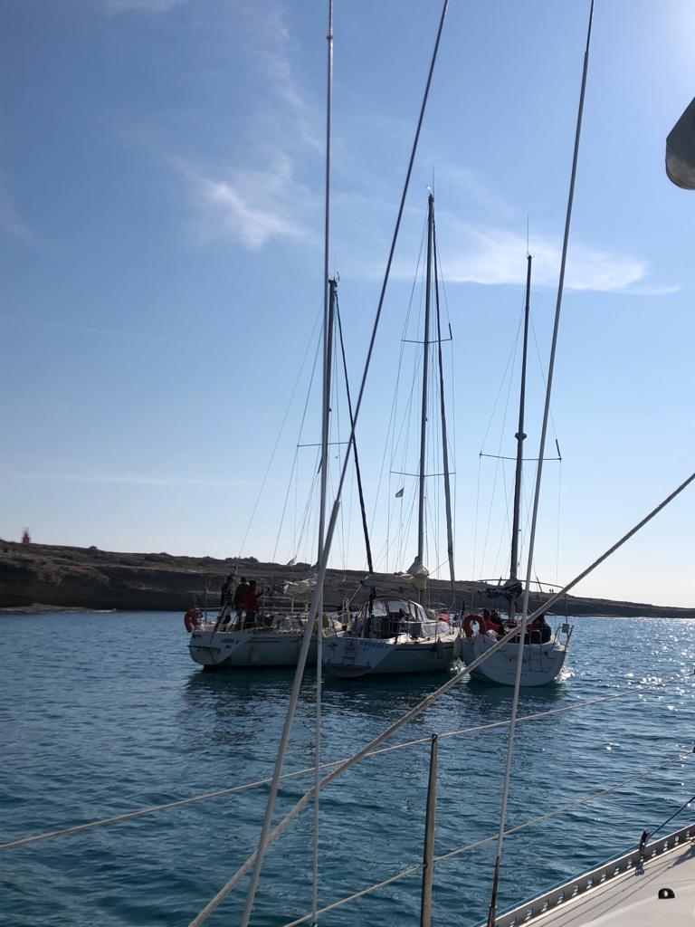 1676188981541.jpg 1676188981541.jpg