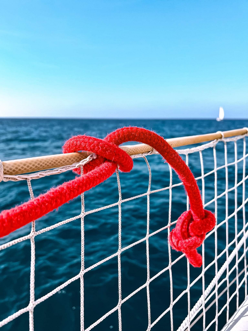 1676188981489.jpeg 1676188981489.jpeg