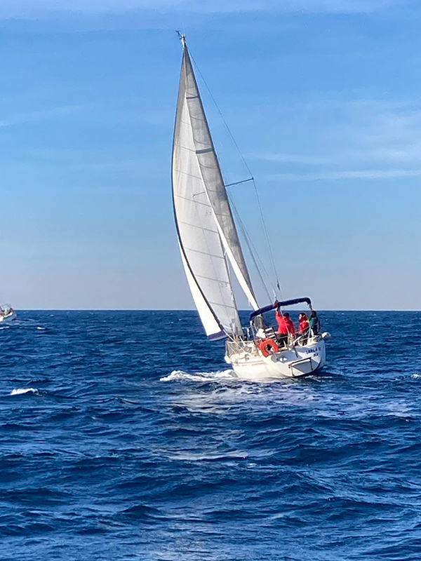 0205-2024-02-03-LR-web.jpg 0205-2024-02-03-LR-web.jpg