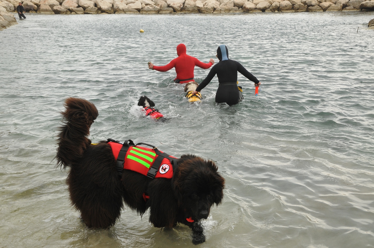 en plein exercice.JPG en plein exercice.JPG