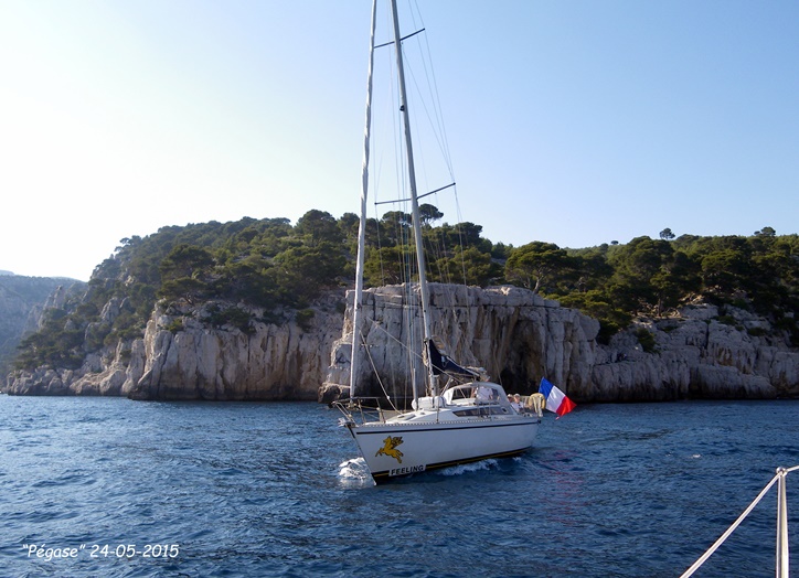 IMGP4736.JPG IMGP4736.JPG