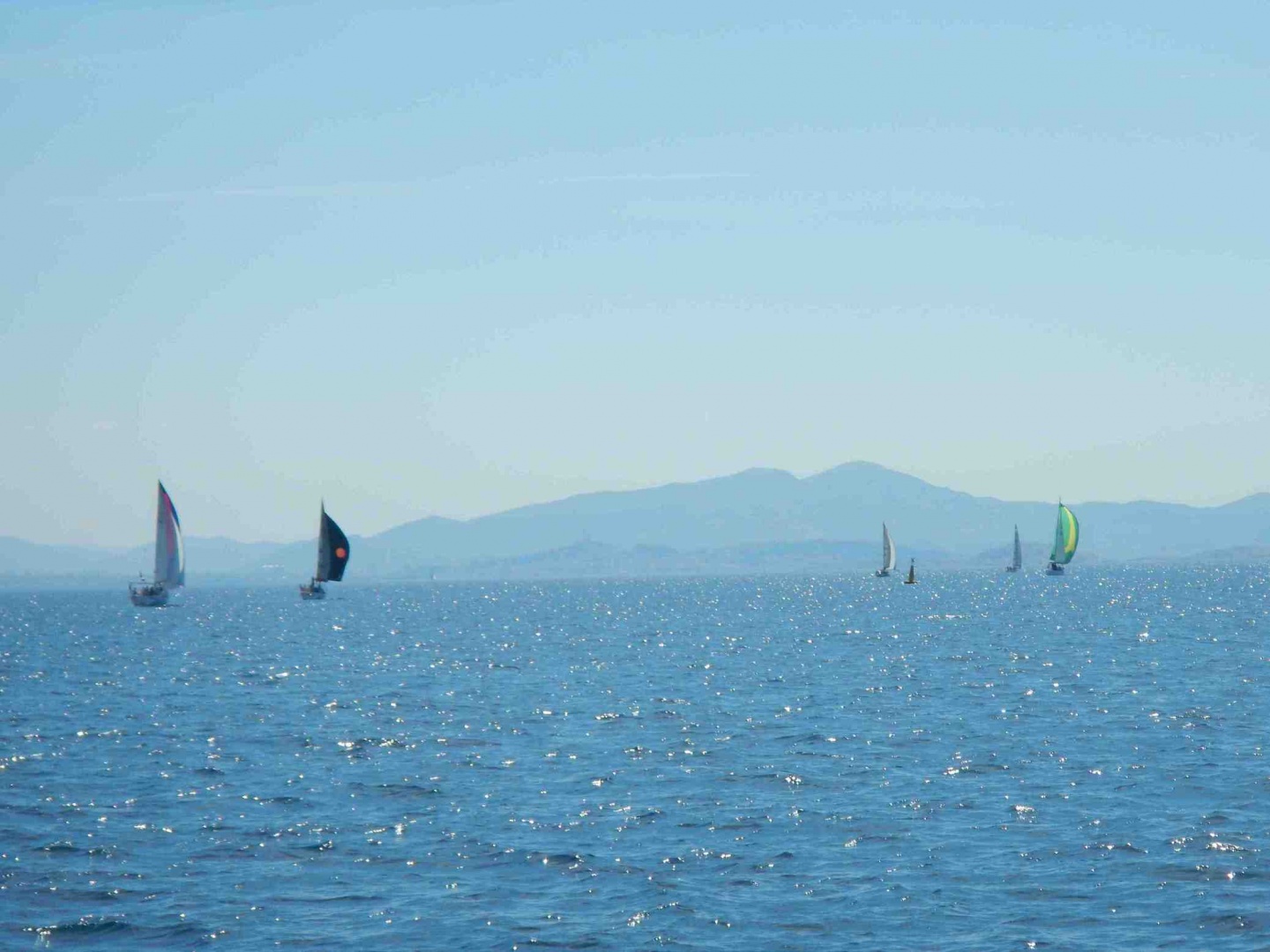 la flotte sous spi.jpg la flotte sous spi.jpg