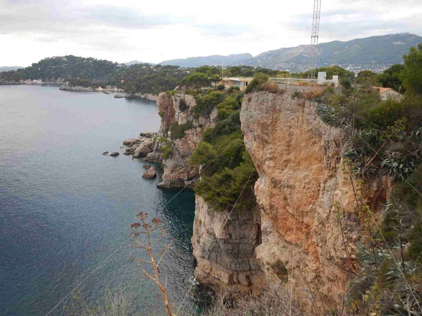 une vue plongeante.jpg