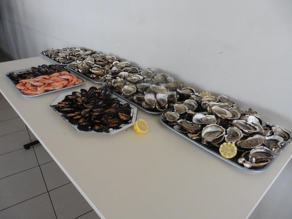 P1030003.jpg P1030003.jpg