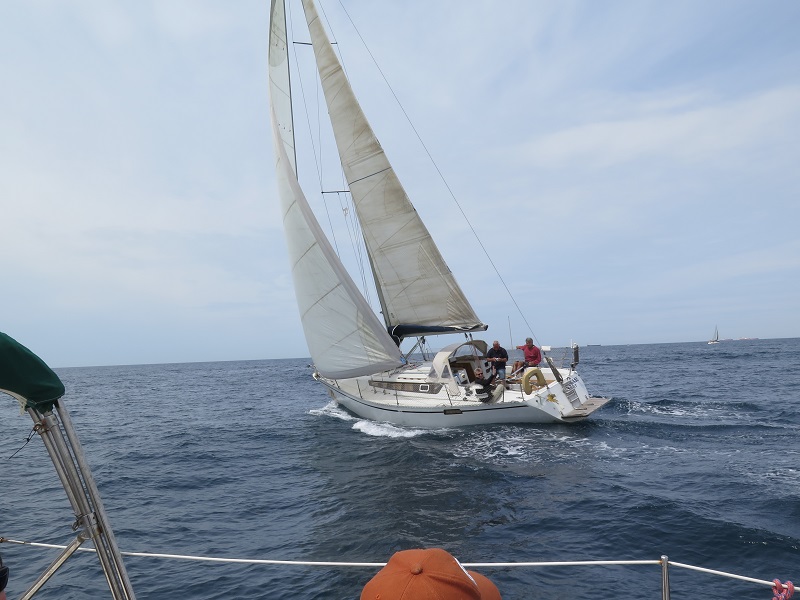 Pegase.JPG Pegase.JPG