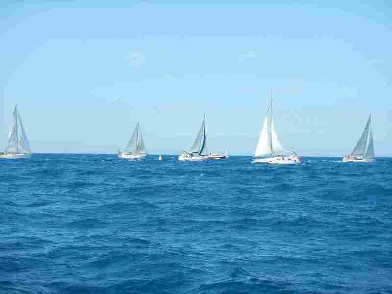 Untitled(7).jpg Untitled(7).jpg