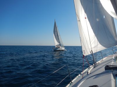 (1) P la flotte.jpg