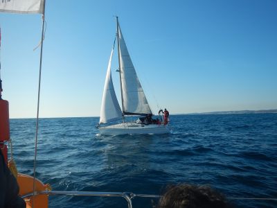 (1) S Ptit mousse.jpg (1) S Ptit mousse.jpg