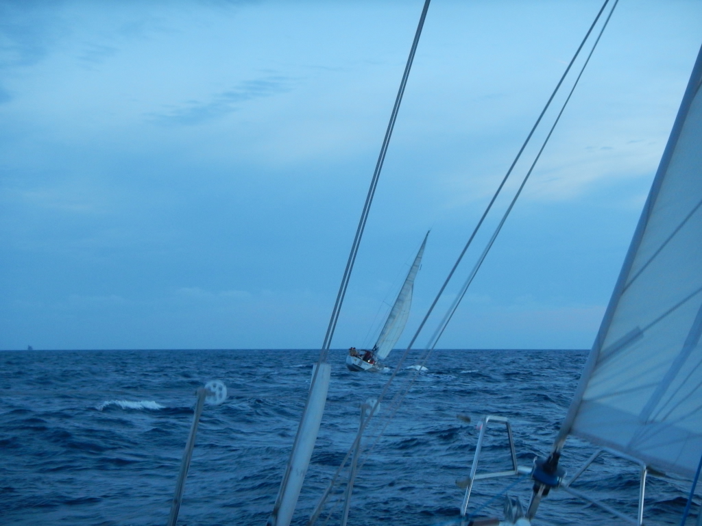 DSCN1215.jpg DSCN1215.jpg