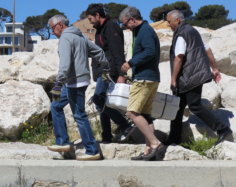 CANOT &.jpg CANOT &.jpg