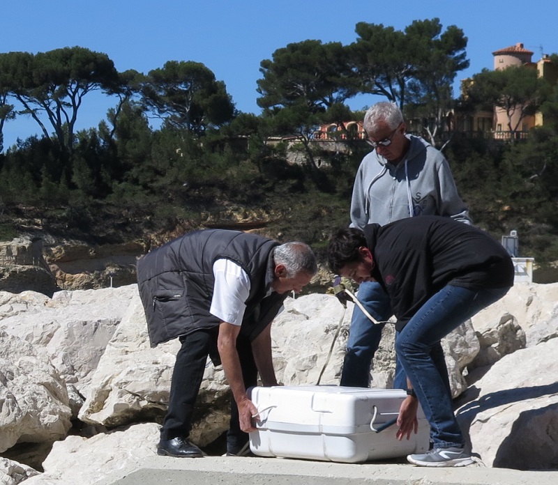 CANOT 2.jpg CANOT 2.jpg