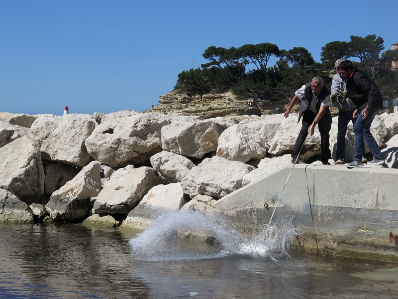 CANOT 3.jpg CANOT 3.jpg