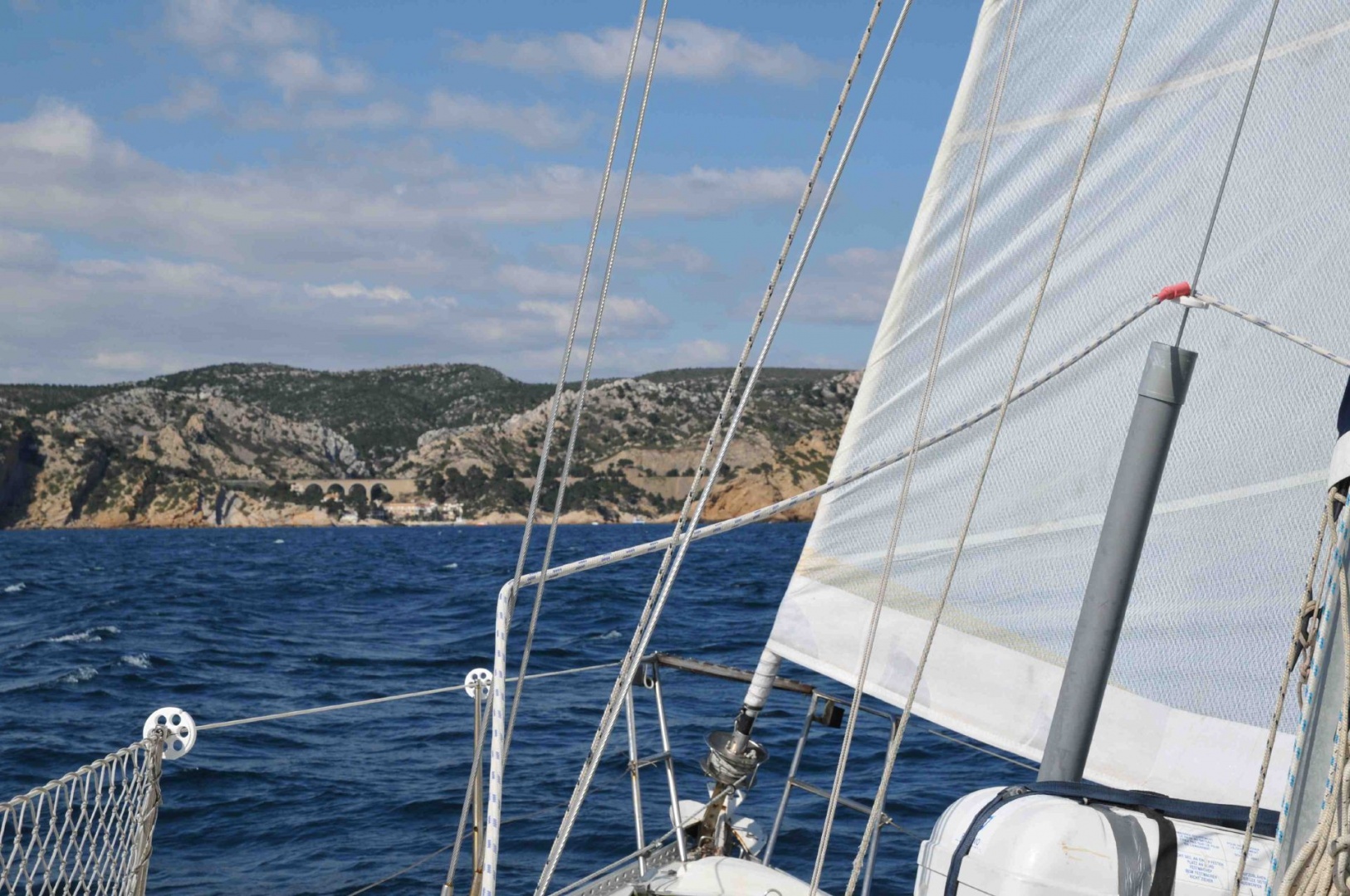 (2) 4 SM au prés.jpg