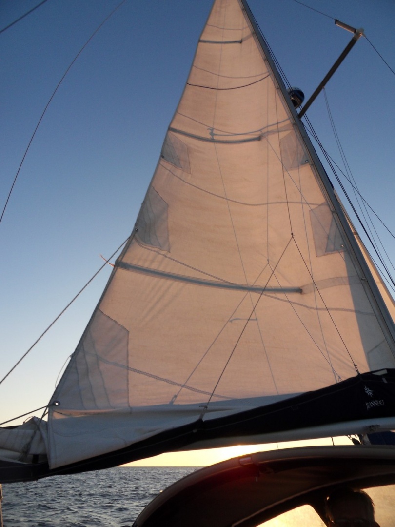 SDC12839.jpg SDC12839.jpg