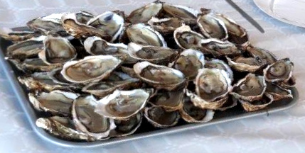 20171203_121158 HUITRES.jpg