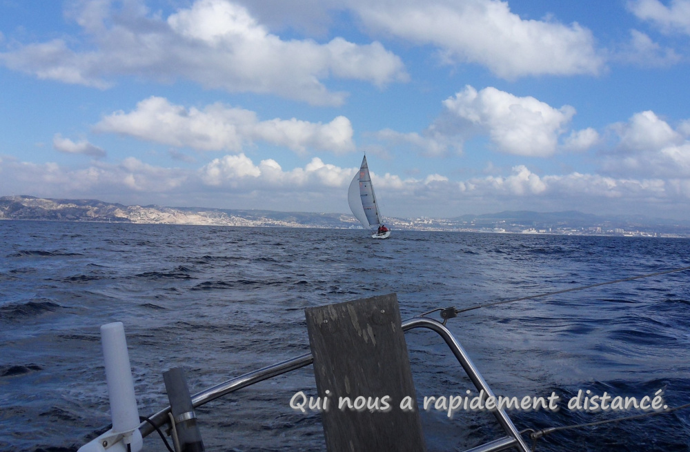 SDC13052.jpg SDC13052.jpg