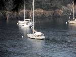 SDC16684-web.jpg