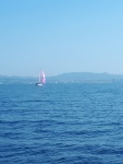 20191026_115125-Web.jpg