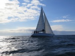 IMG_4403-web.jpg