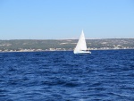 2020-10-17-01-IMG_5279.jpg
