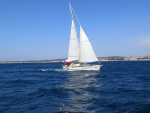 IMG_5624-web.jpg
