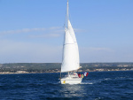 IMG_5629-web.jpg
