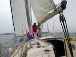IMG_5668-web.jpg