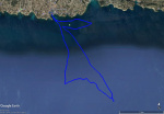 2021-03-06-7,84milesnaut.jpg