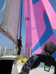 IMG_5710-web.jpg