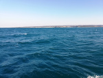 IMG_20210310_101211-web.jpg