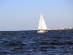 02-IMG_5744-web.jpg