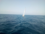 8-IMG_20210616_104600-web.jpg