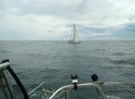 IMG_20210707_153350-web.jpg