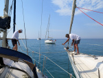IMG_5861-web.jpg