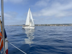 5-IMG_0085.jpg
