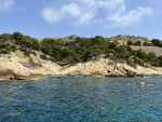 8-IMG_0096.jpg