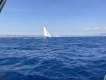 6-IMG_0178-web.jpg