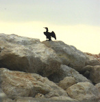 IMG-20220302-WA0001-web.jpg