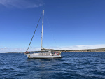 2024-06-02-Pegase.jpg